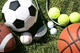 Volleyballspielerinnen