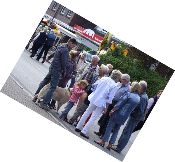 Kl&ouml;nen schief