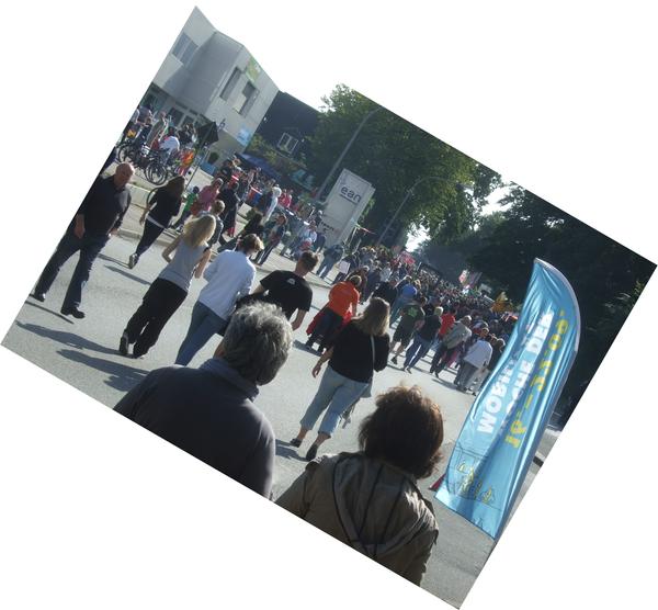 Volle Ulze schief 4