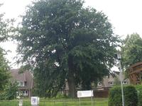 Buche Joh-Hin-Wichern 1