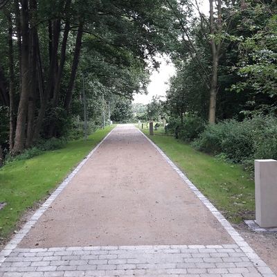 602_OP Stadtw&auml;ldchen Weg Stehlen
