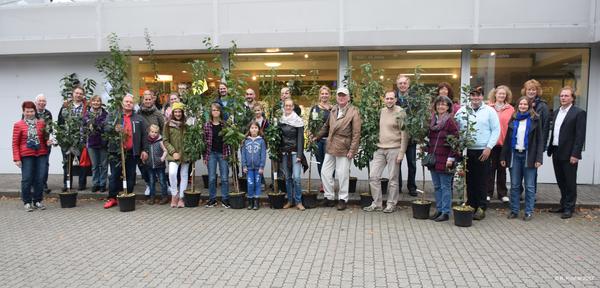 Gewinn Obstbaum