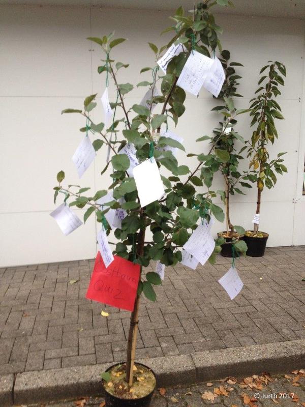Baum Vielfalt