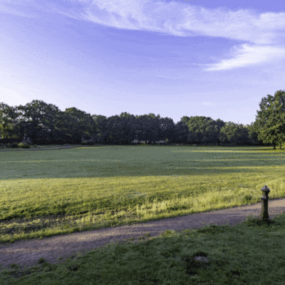 WBP_Detail-Ansicht_16_abc_opt