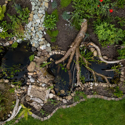 &copy;Volker GehrmannNABU_miniteich_gartenreich_53987879169_o