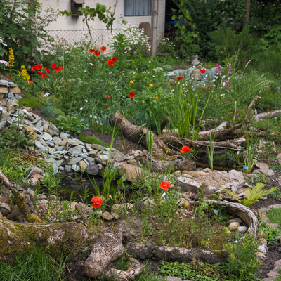 &copy;Volker GehrmannNABU_miniteich-anlage_gartenreich_53991771954_o