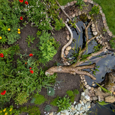 &copy;Volker GehrmannNABU_miniteich-draufsicht_gartenreich_53991691253_o