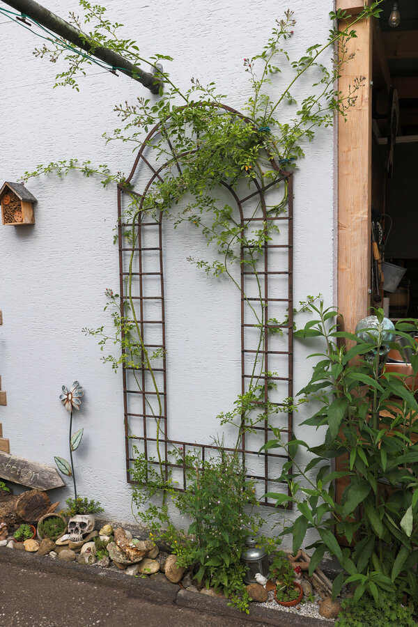 &copy;Volker GehrmannNABU_vertikale-begrnung_gartenreich_53986669352_o