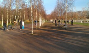 Interner Link: Zur Veranstaltung Boule im Stadtpark