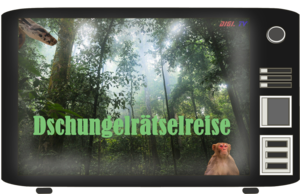 Banner_Dschungelreise