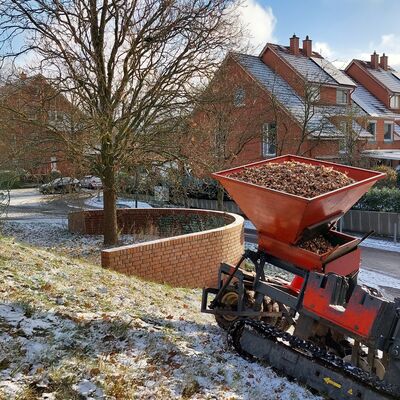 Stadt Norderstedt pflanzt 700.000 Blumenzwiebeln ein